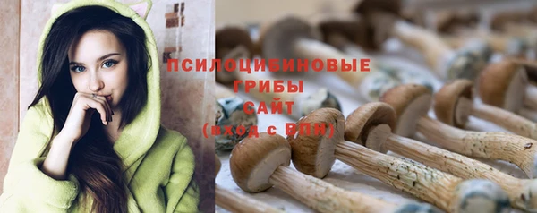 бутират Кинешма