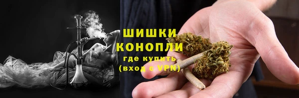 дживик Козловка