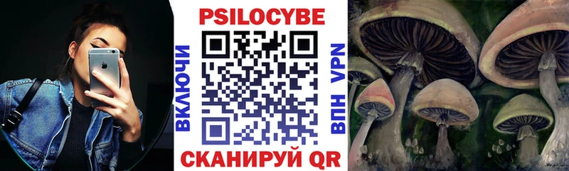 Псилоцибиновые грибы Magic Shrooms  Купить  Давлеканово 
